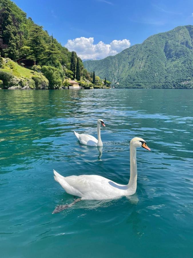 Casacamelia 35, 3 Bdrm With View Lake Como Leilighet Acquaseria Eksteriør bilde